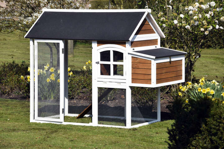 dobar Hühnerstall mit Außengehege und Legebox